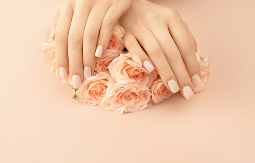 Female,Hands,Holding,Tea,Roses,On,Pastel,Background,For,Decoration
